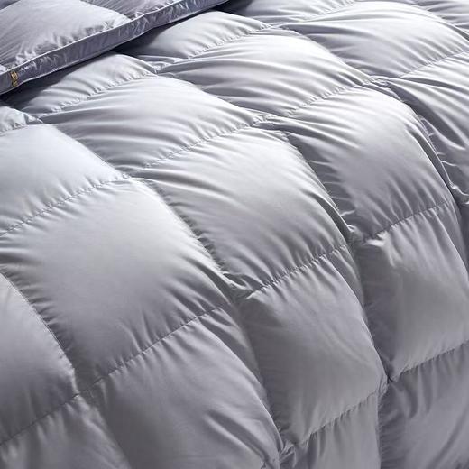 【云粉节】【满300减30】【送2000元线下无门槛券】10楼富安娜 A类抗菌鹅绒被 \ 富有安康 吊牌价10800-21800元   活动价2999-3999元 商品图2