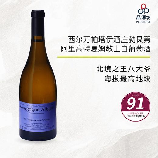 2023 sylvain pataille bourgogne aligoté charmes aux prêtres 西尔万帕塔伊酒庄勃艮第阿里高特夏姆教士白葡萄酒 2023 商品图0