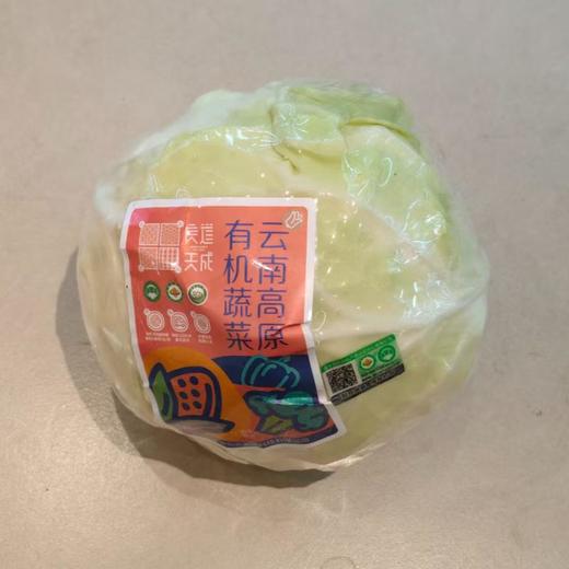 良道有机青甘蓝 600g/份 商品图0