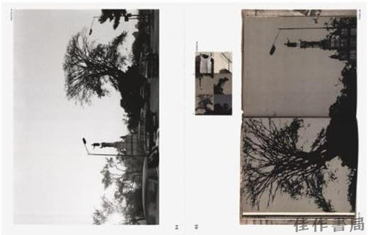 Deconstructing Sistema Nervioso by Lange  Brandli & Chalbaud / 解构《神经系统》：朗格、布兰德利与查尔博作品研究 商品图1