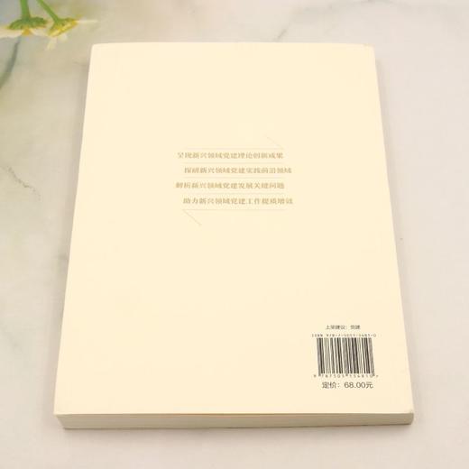 新就业群体党建案例精讲 商品图2