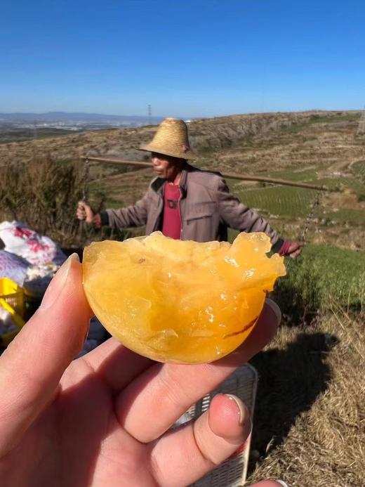 好山好水得【云南石林树上熟人参果】皮薄肉厚 鲜甜多汁 商品图1