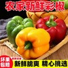寿光 彩椒精品（红黄彩椒组合装） 商品缩略图0