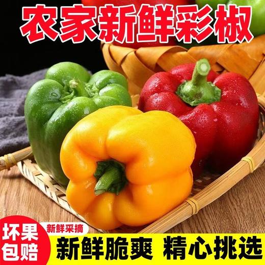 寿光 彩椒精品（红黄彩椒组合装） 商品图0