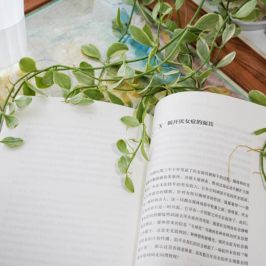 厌女的历史 商品图4