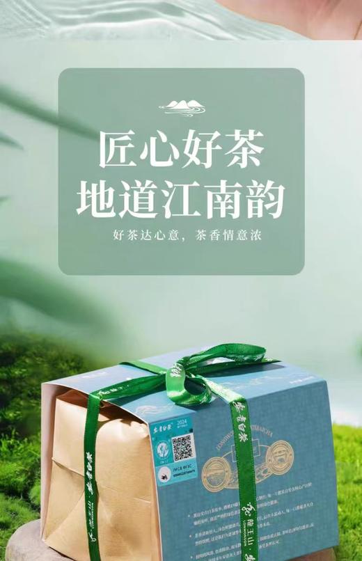 龙王山安吉白茶袋装白茶 商品图1