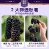 劲家庄100%桑葚原浆600ML/盒（30ML*20） 商品缩略图3