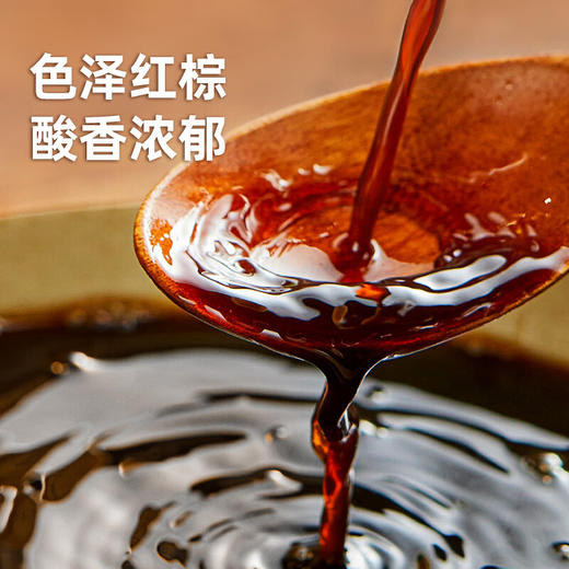 海天0金标香醋500ml(PET方瓶)*1 商品图2