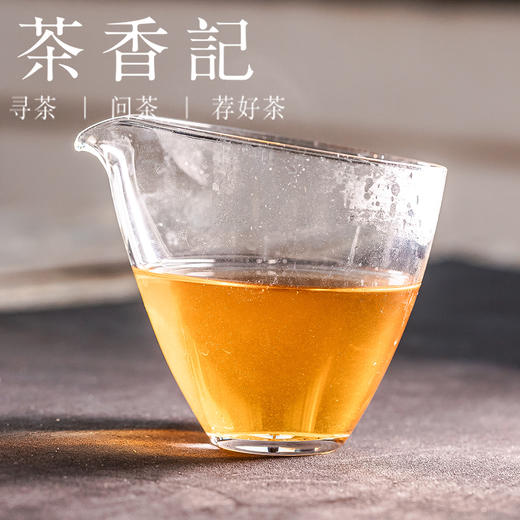 茶香记果尖松砖012安化黑茶老茶手筑茯砖自然金花果蜜雪梨韵甜糯润口 商品图3