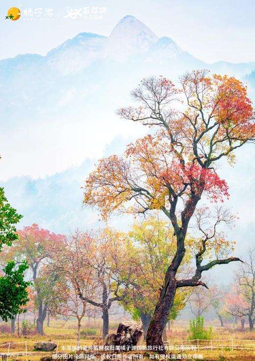 【湖北罗田红叶季】5天4晚纯玩盛宴 商品图2