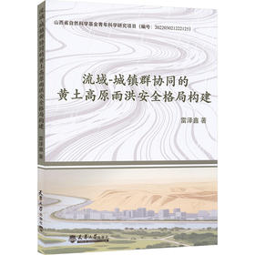 流域-城镇群协同的黄土高原雨洪安全格局构建