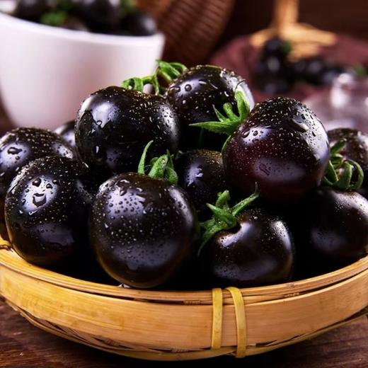 寿光 紫龙樊番茄 商品图2