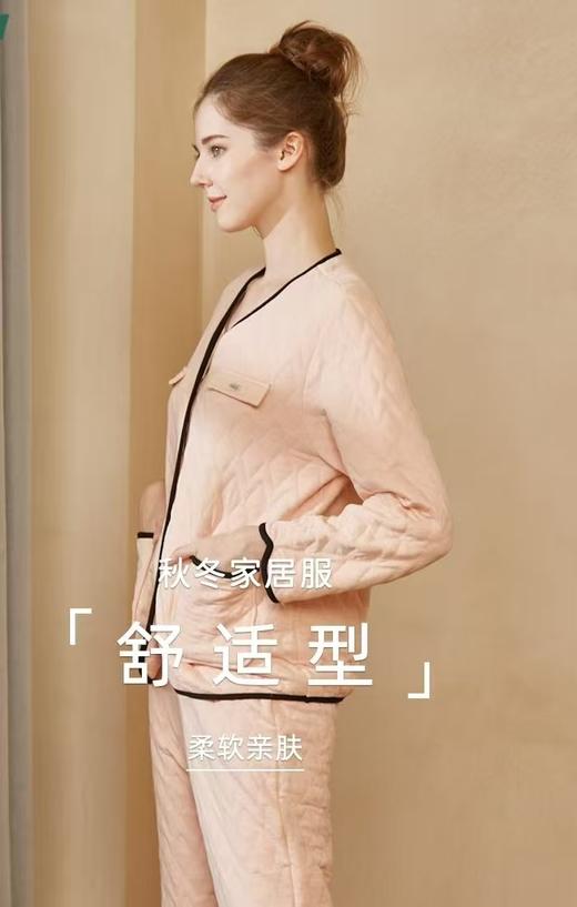 TZ竹纤维女士时尚夹层竹棉小V领分体家居套2345 商品图2