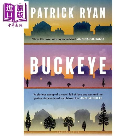【中商原版】七叶树 社区耀眼肖像 同情 幽默和魅力 帕特里克瑞安 Buckeye 英文原版 Patrick Ryan 商品图0