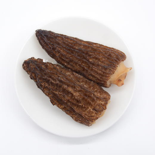 四川特产蜀道山珍羊肚菌120g罐装 商品图4