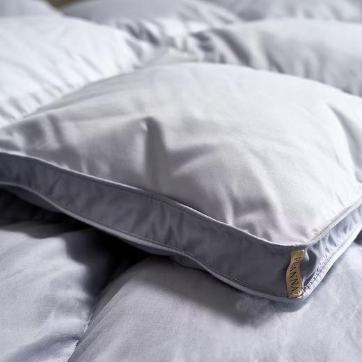 【云粉节】【满300减30】【送2000元线下无门槛券】10楼富安娜 A类抗菌鹅绒被 \ 富有安康 吊牌价10800-21800元   活动价2999-3999元 商品图6