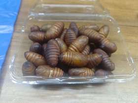 【同城配送】后院团购大黄蚕蛹一斤/盒，香味浓，精选品质