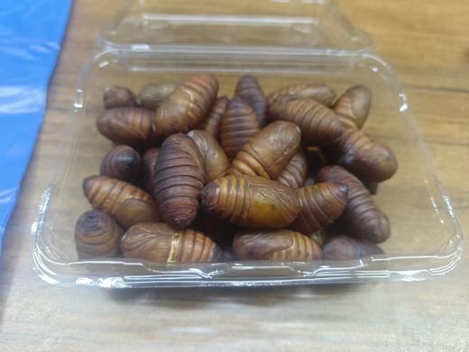 【同城配送】后院团购大黄蚕蛹一斤/盒，香味浓，精选品质 商品图0