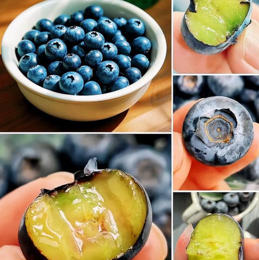 【顺丰包邮】花香蓝莓 颗颗饱满 花香浓郁 脆嫩清甜 一口爆浆 富含花青素 九甜一酸超好吃 护眼好搭档 现采现摘 产地新鲜直发 顺丰空运直达 商品图4