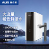 奥克斯净水器AUX-600白富思款（机械水龙头） 商品缩略图0