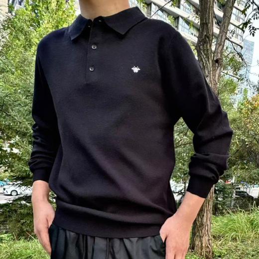 严选 | 迪奥同款 蜜蜂POLO领针织套头衫（同厂同面料） 商品图0