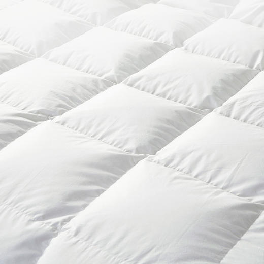 【云粉节】10楼 安睡宝 西伯利亚进口95%白鹅绒抗菌立体冬被 吊牌价12999-19999元 活动价3399-4299元 商品图1