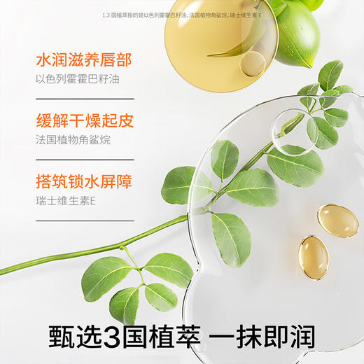 *【2025年新款】海龟爸爸植萃润唇膏（魔法棒） 商品图2