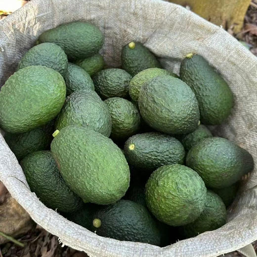 云南哈斯牛油果 新鲜采摘、成熟后香滑细腻 ，直接吃或制作各种风味的轻食碰撞无数组合，备受热爱生活健康饮食的朋友喜欢。 商品图1