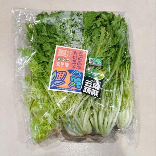 良道有机罗马生菜 300g/份 商品图0