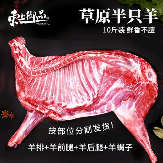 甄选大草原散养羔羊肉丨新鲜散养乳羔半只羊10斤羊肉新鲜羊腿羊排羊蝎子 商品图0