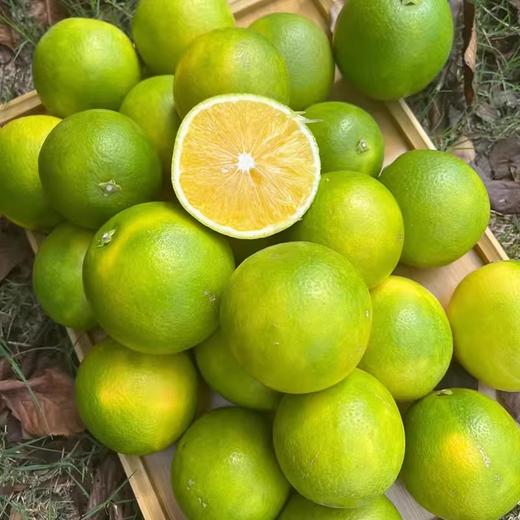 云南当季农家新鲜薄皮冰糖橙 商品图4