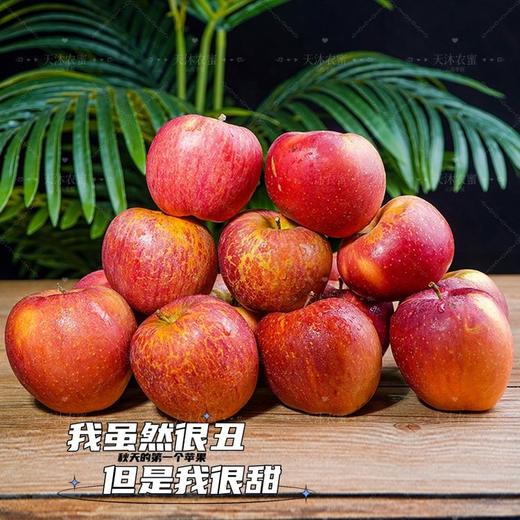 云南昭通丑苹果 口感爽脆 核小肉厚 清甜多汁 果肉细腻无渣 商品图5