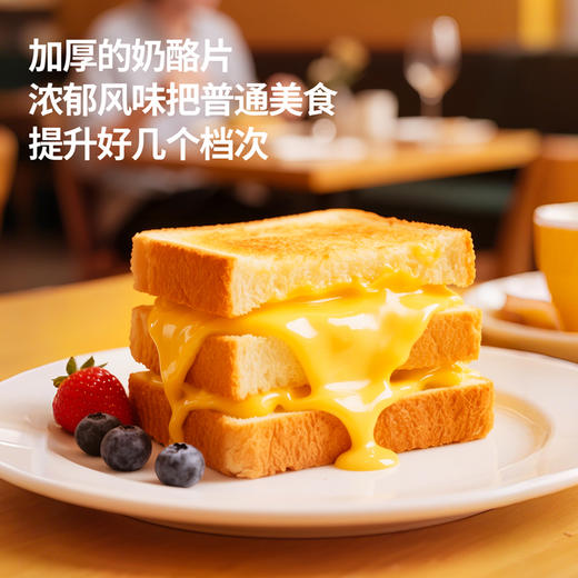 【VIP频道】奶酪博士加厚奶酪51%干酪添加量 儿童烘焙早餐 商品图3