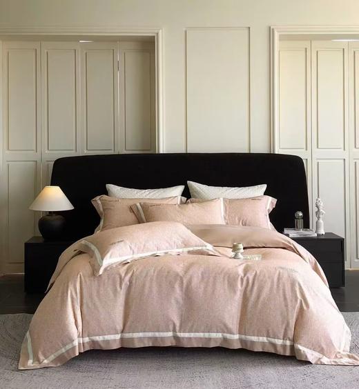 【春上新】10楼 恐龙 初弦 澳棉超柔刺绣磨毛四件套 200*230cm   吊牌价2698   活动价659元 商品图1