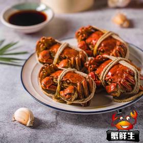 阳澄湖大闸蟹（688型/888型/1088型/1368型需要蟹卡可备注）