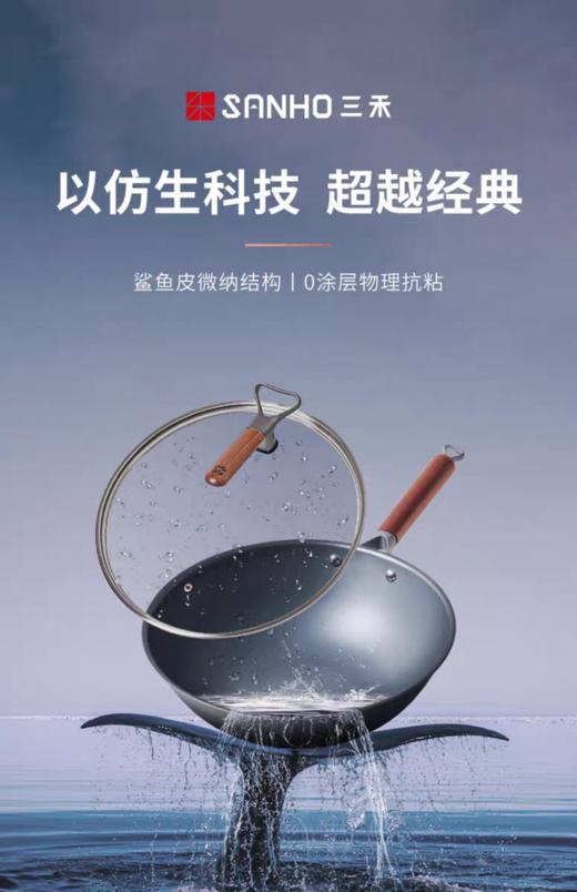 【6F】三禾窒氮防锈铁锅TC30/32T4 商品图0