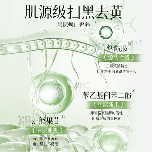 「温和·净爽无油肌」倾龄美白沐浴露 烟酰胺维C精华美白提亮滋润嫩肤轻奢香氛清洁 商品图3