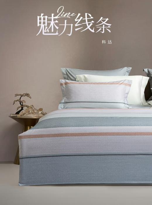 6F堂皇  科达全棉四件套 商品图1