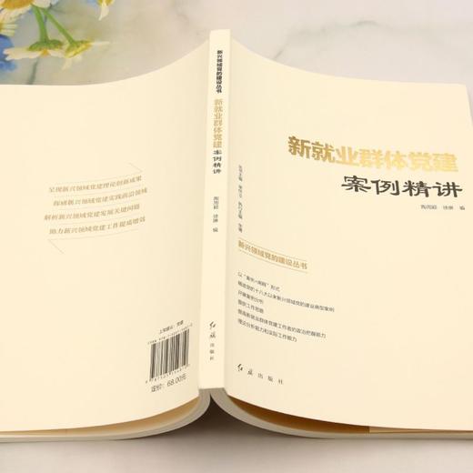 新就业群体党建案例精讲 商品图3