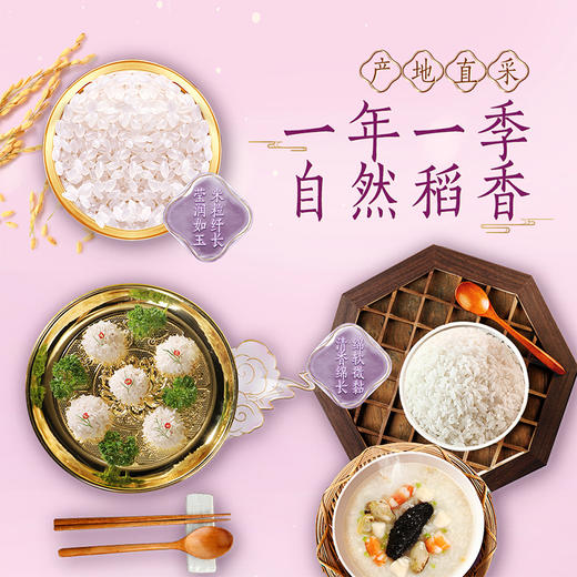 金龙鱼乳玉皇妃方正长粒香大米5kg(塑料袋)-YS 商品图3