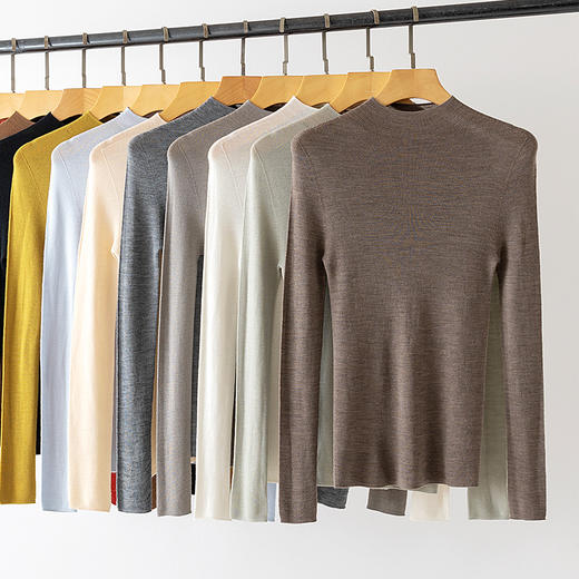 「自」全新升级【铂金会员284/天猫379/差价95】(44124)洛诗琳新款无缝一体半高领羊毛衫2025秋冬气质修身打底上衣 商品图0