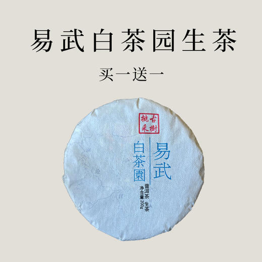 【会员日直播】买一送一   2012年易武白茶园（生茶）  200克/砖 商品图0
