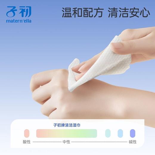 子初牌多功能清洁湿巾 200*150mm 60抽/包*3包/箱 （含1个挂钩3个背贴） 商品图2