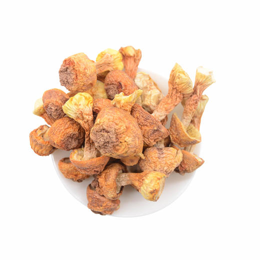 四川特产蜀道山珍姬松茸250g罐装 商品图1