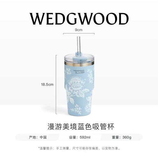 WEDGWOOD威基伍德吸管杯保温杯咖啡杯 商品图2