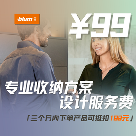 订购意向金（三个月内下单产品可抵扣199元）