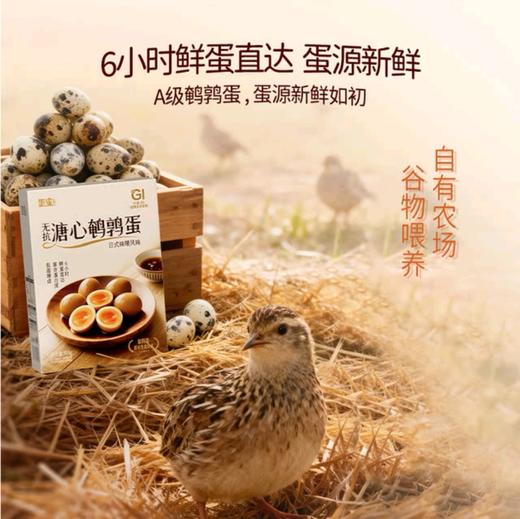 蛋皇溏心鹌鹑蛋800g 商品图5