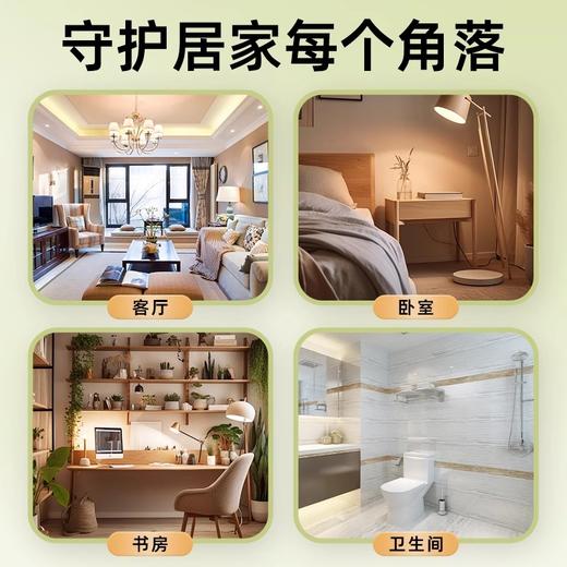 【古法香薰粉】艾叶苍术石菖蒲古法香薰粉【店铺热销】 商品图4