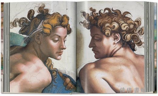 Michelangelo.The Complete Works.Paintings  Sculptures  Architecture/米开朗基罗.全部作品—绘画、雕塑与建筑/Taschen XL系列 商品图2