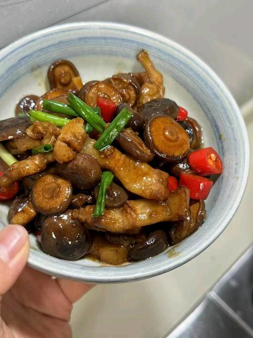 【云南桑木有机香菇】有机溯源❗桑木精华滋养❗炖菜界天花板级食材❗ 有机标认证，1年1审，1罐1码，可扫码认证❗ 商品图4